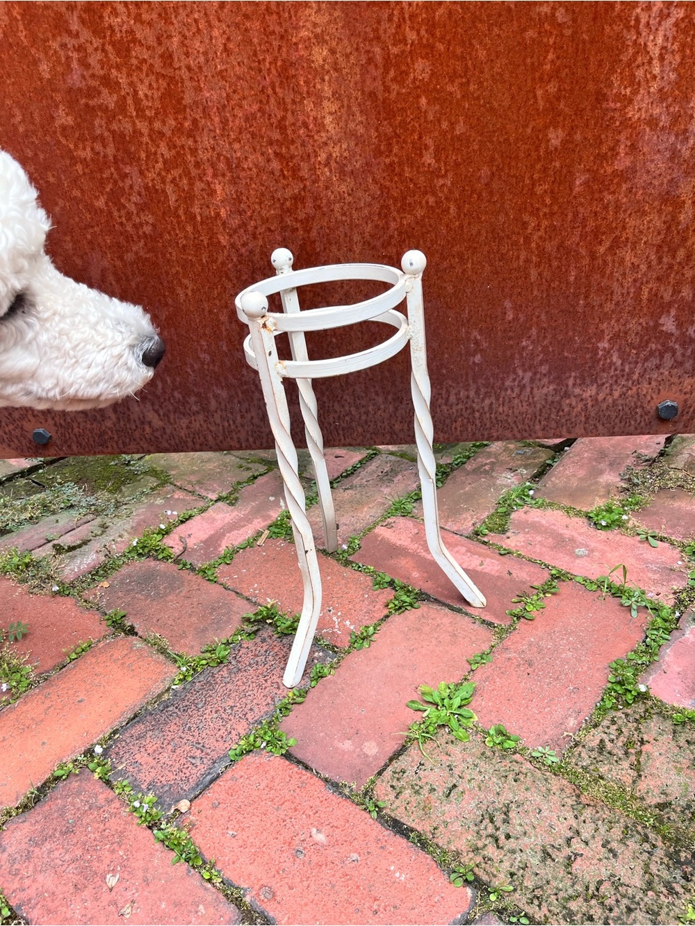 Vintage White Wrought Iron Plant Stand – Twisted Legs Shabby Chic - Picture 2 of 7